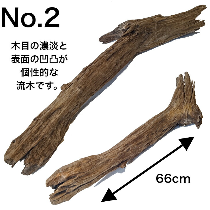 楽天市場】変形 レア 流木/大型 特大 流木 置物 玄関 木 インテリア