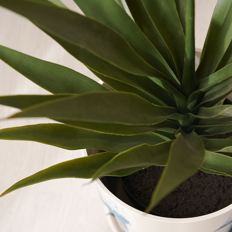 楽天市場】フェイクグリーン アガベ 高さ 70cm 観葉植物 グリーン