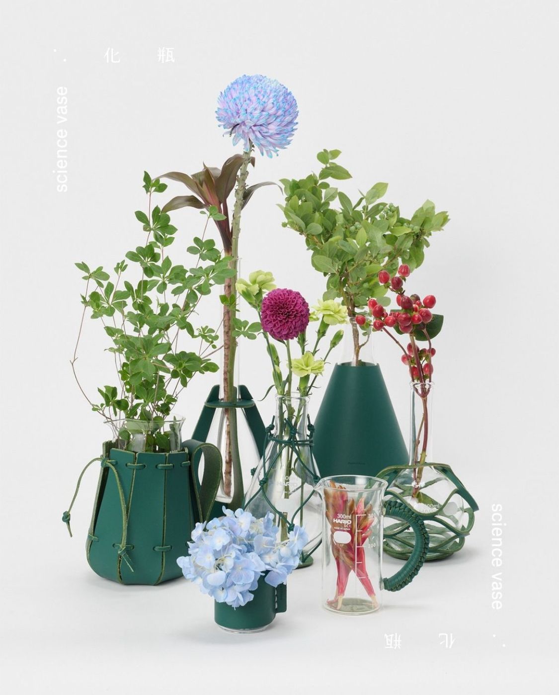 p5we1i1AKva7.jpg?width=768