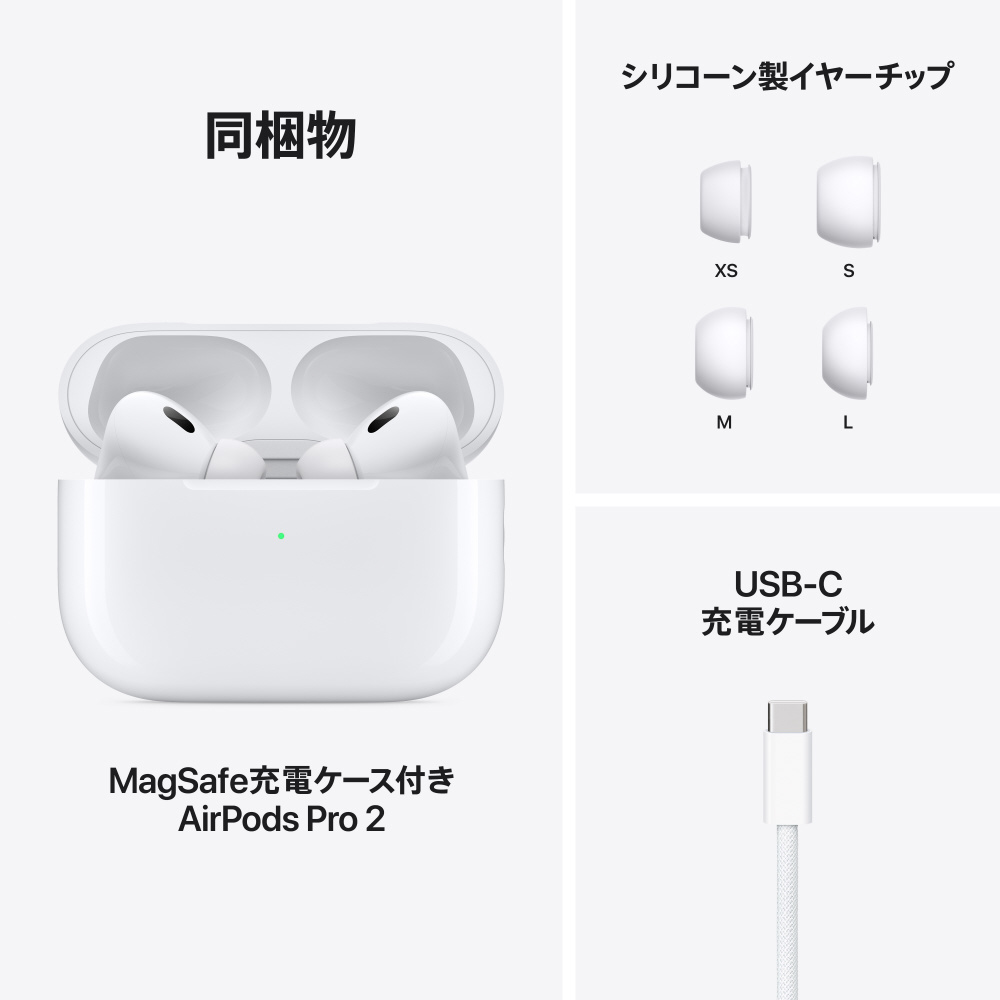 AirPods Pro 2 (USB-C)充電ケース 右耳 付属品(箱無し) アップル