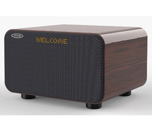 カラオケスピーカー サウンドプロMAX ワイヤレスマイク2本付き