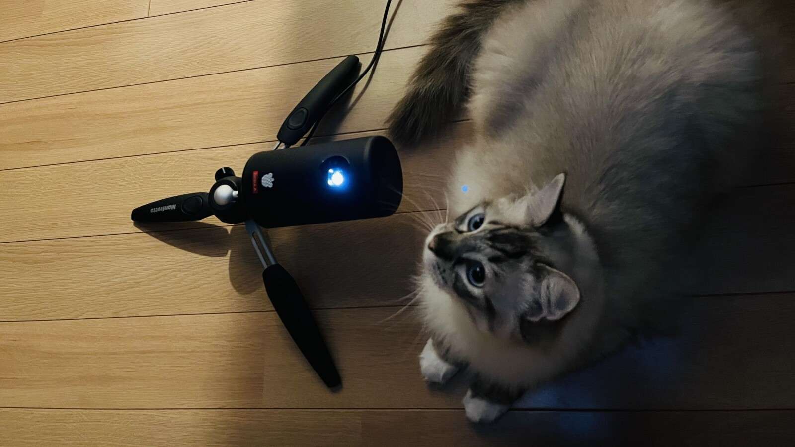 Anker Nebula Capsule Ⅱ｜おすすめのモバイルプロジェクターと三脚の