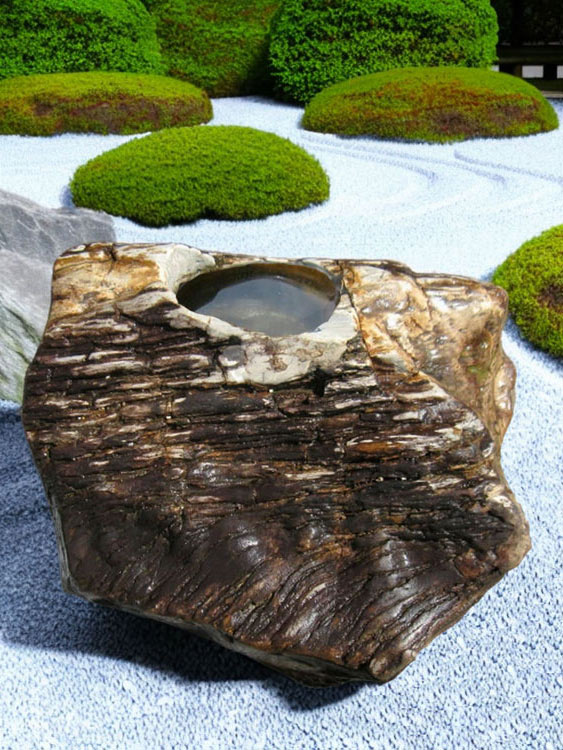 木化石 蹲 057 ツクバイ 手水鉢 一点物 水鉢 銘石 珪化木 販売 幅66cm