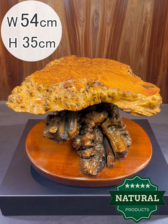 天然木 瘤（こぶ） 飾り台 花台 変木台 アウトレット 展示品 【商品