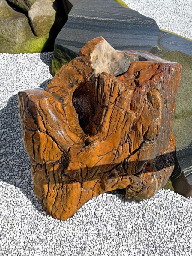 木化石（珪化木）販売・通販｜太古の樹木の一点物・庭石・インテリア