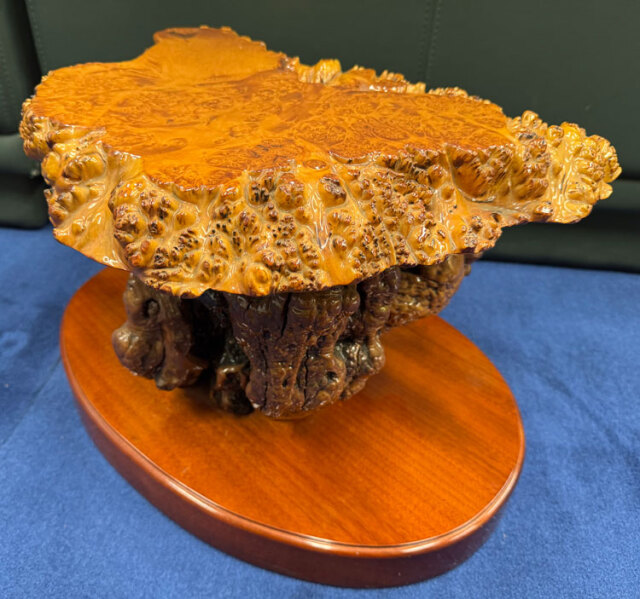 天然木 瘤（こぶ） 飾り台 花台 変木台 アウトレット 展示品 【商品