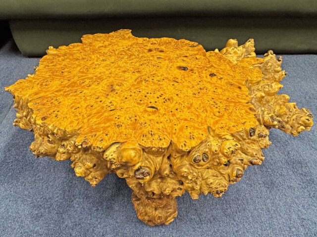 天然木 瘤（こぶ） 飾り台 花台 盆栽台 アウトレット 展示品 【商品