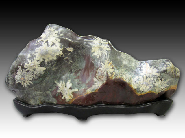 菊花石 販売・通販｜一点物の鑑賞石・庭石・菊紋様の至宝 [現物見学可