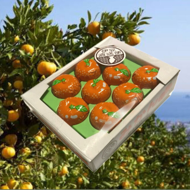 いちごちょこれーと みかんちょこれーと 9粒入り セット