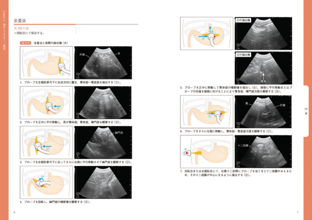 イチからはじめる犬と猫の超音波検査 株式会社 緑書房