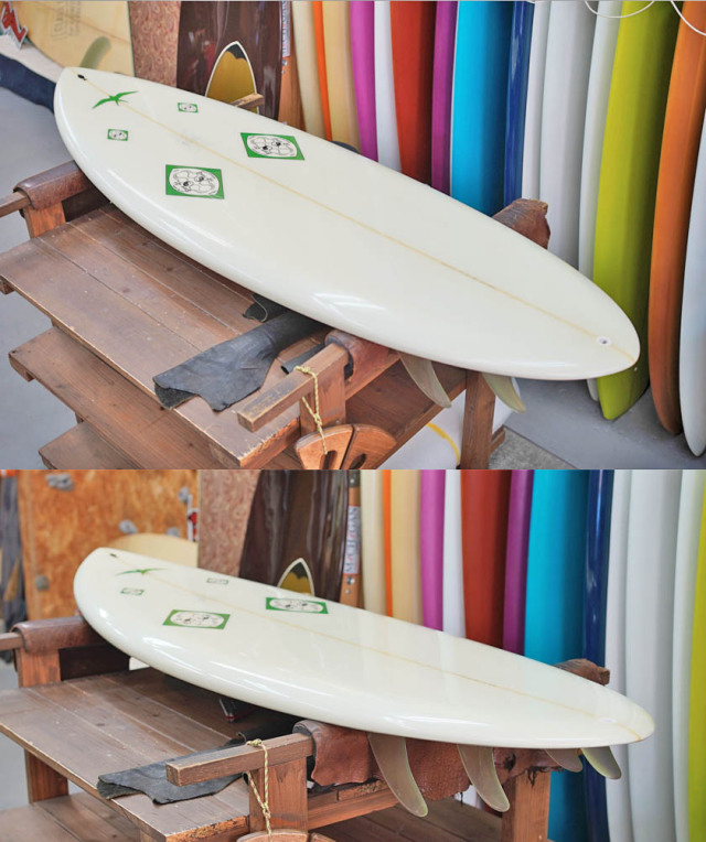 Never Ridden * Steve Lis 5'10