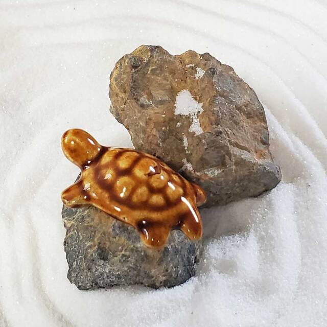 添配や盆景に【ミニチュア 茶亀（ちゃがめ） 幅3．5cm】かめ カメ