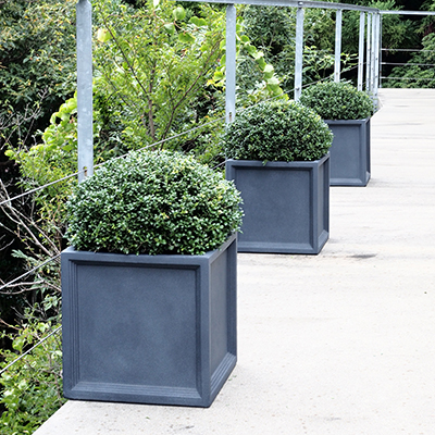 植木鉢／プランター／軽量鉢】LLブリティッシュ Pキューブ 47cm（EB