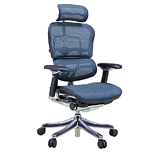 Ergohumanエルゴヒューマンプロハイタイプ/エラストメリックメッシュ