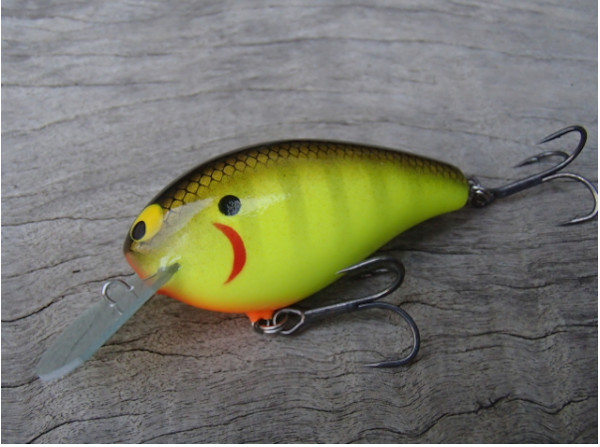 モリケンスピードバイト 「セントナイト」 【クリックポスト発送可