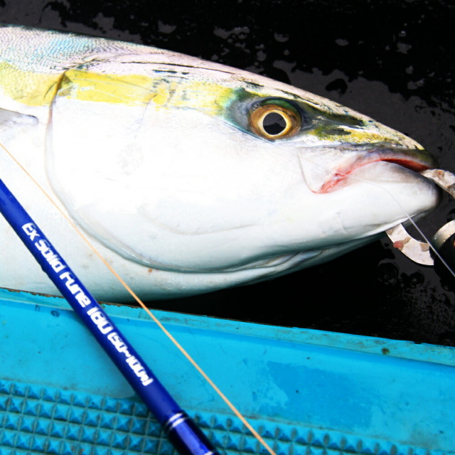 デジタル＆ソリッドセット 青物 落とし込みSP（ori-funeset032）