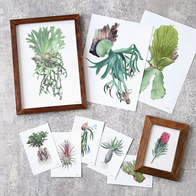 yomogi ボタニカルアート | ゼネラルストア オルネ