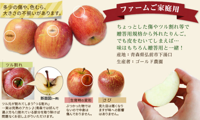 葉っぱの影は甘さのサイン 【葉とらずりんご つがる9kg ファーム】家庭