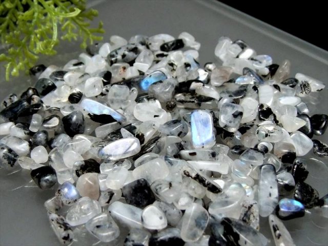 透明感&ブルーシラー ムーンストーン・バイオタイト さざれ 100グラム