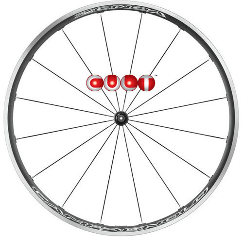 CAMPAGNOLO 2024 ZONDA C17 WO CULT CAMPA UD カンパニョーロ ゾンダ 販売