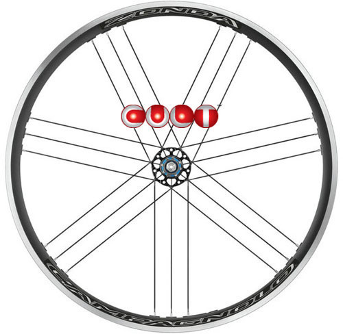CAMPAGNOLO 2025 ZONDA C17 WO CULT SHIMANO HG カンパニョーロ ゾンダ