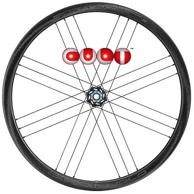 CAMPAGNOLO 2024 BORA WTO 33 DB 2WAY-FIT CULT SPECIAL WHEEL