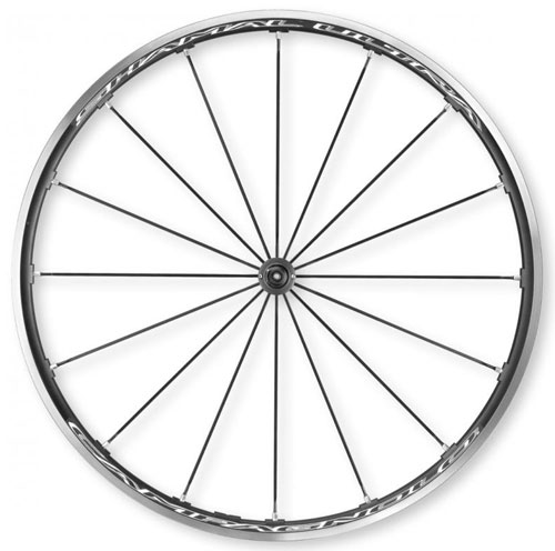 CAMPAGNOLO 2024 SHAMAL ULTRA C17 2WAY-FIT CAMPA UD カンパニョーロ