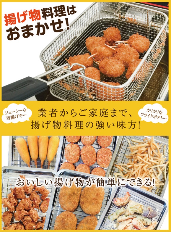 電気フライヤー 業務用 卓上電気フライヤー、FL-DS8