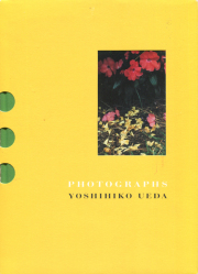 古書古本 dessin：上田義彦 旅情（鳥羽書店）