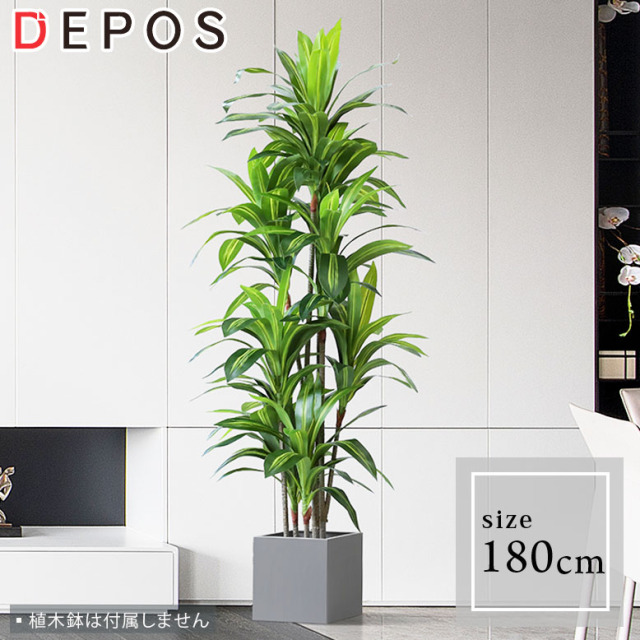 フェイクグリーン ドラセナ 180cm （Brazil tree 180cm ）