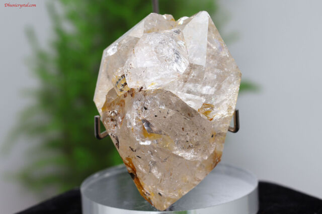 a817-2.jpg?t=20250609153354