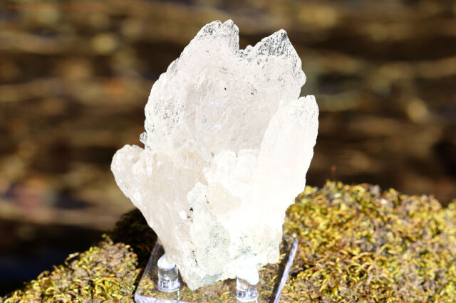 ホワイト・スピリットクォーツ/カクタスクォーツ(A874)