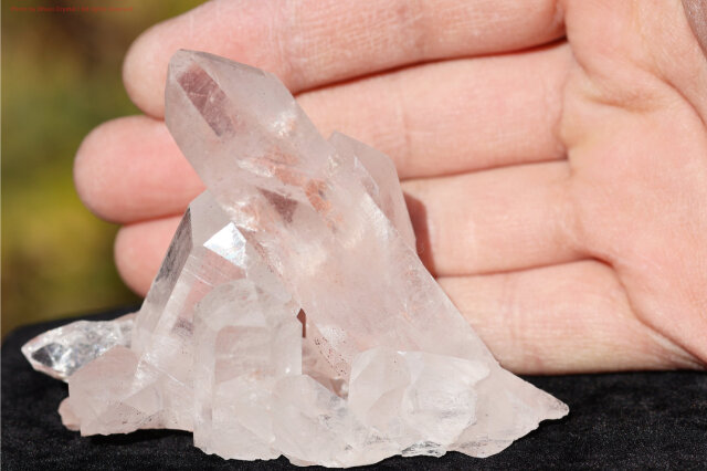 ヒマラヤ水晶｜マニカラン産ピンククラスター｜淡い癒しの輝き