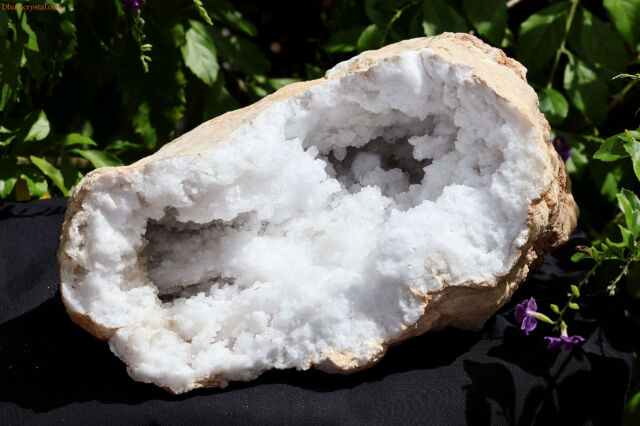 晶洞/大型ジオード水晶(W265)