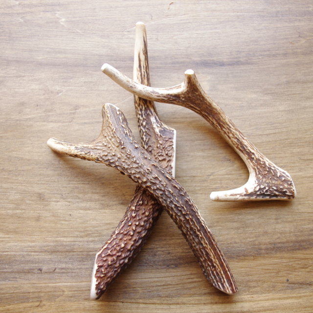 天然鹿の角 噛むおもちゃ 【高知産】