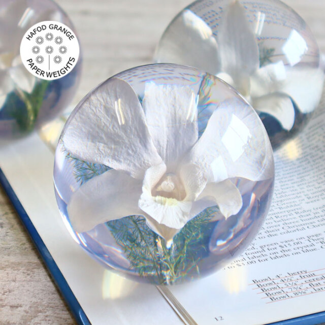 ハフォドグレンジHafodGrange 花文鎮フラワーペーパーウエイト Lサイズ