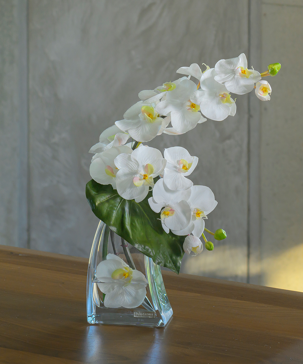 胡蝶蘭(ファレノプシスL) アーティフィシャルフラワー ギフト