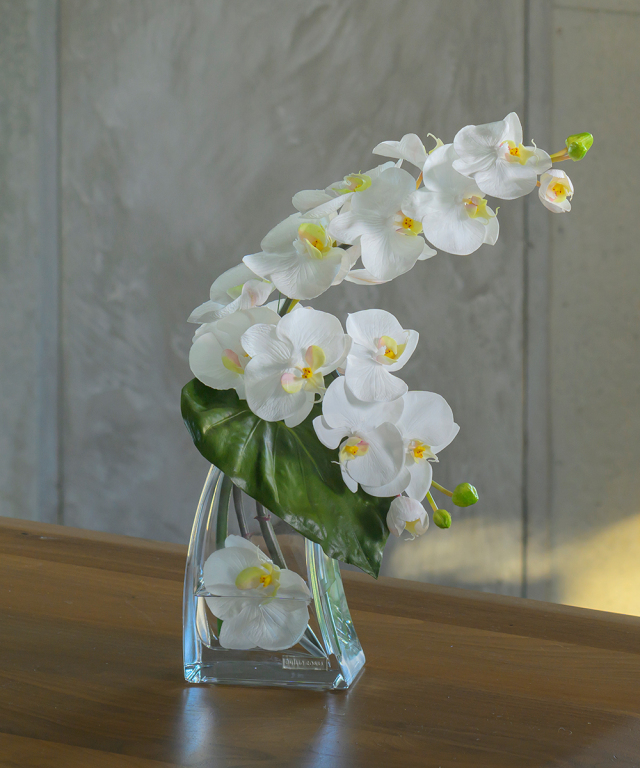 20,000円~ エミリオ・ロバ（アートフラワー）