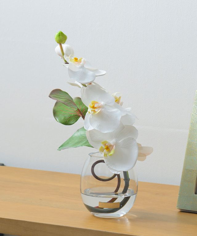 胡蝶蘭(ファレノプシス)のアートフラワー特集|エミリオ・ロバ公式