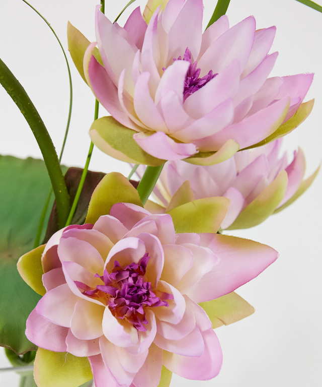 ロータスpk-4L 高品質 ギフト プレゼント お祝い アーティフィシャル