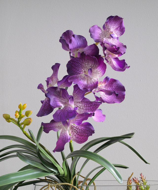 バンダボタニック2L25pu-b アートフラワー アーティフィシャルフラワー