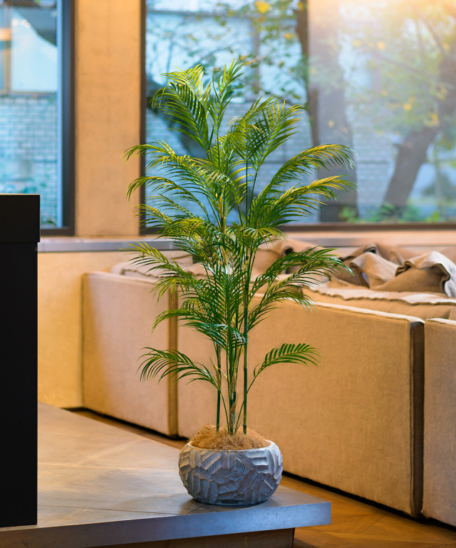 アーティフィシャルグリーン パーム 観葉植物 インテリア お祝い