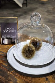 COSTA NOVA（コスタノバ） ｜PEARL（パール） フッテッドプレートM