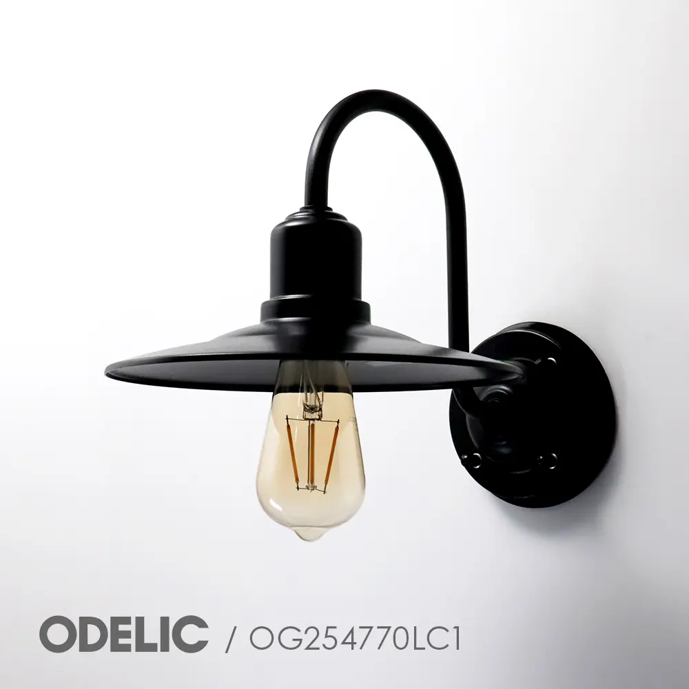 エクステリアライト 屋外 照明 オーデリック OG254770LC1 LED電球 電球