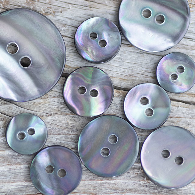 アワビ貝 13mm|貝ボタン□タカシマ□