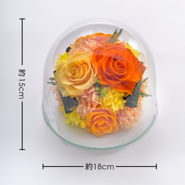 プリザーブドフラワー #ガラスドーム〈2L〉