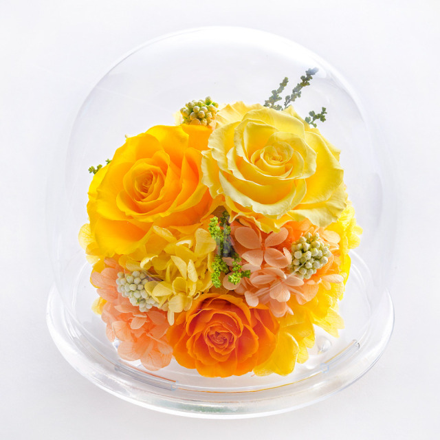 プリザーブドフラワー ガラスドームL