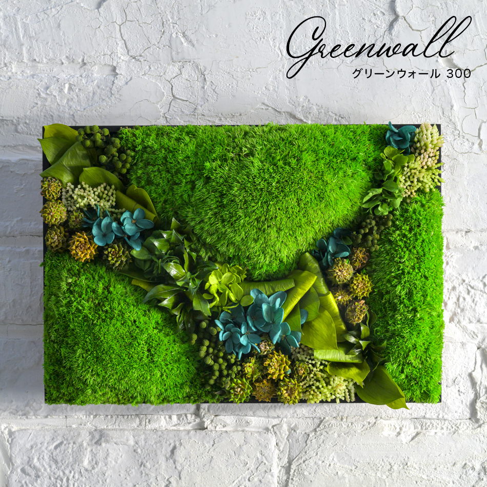 プリザーブドフラワー 苔 モス #グリーンウォール【300】送料無料
