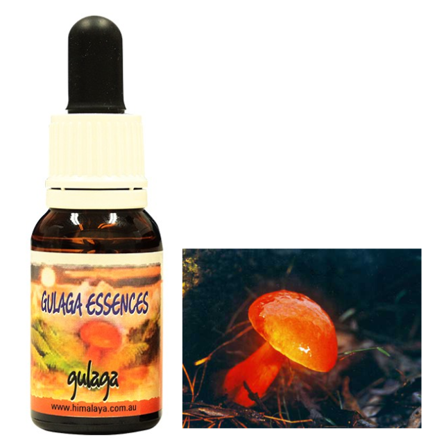 人生の脱皮（トランスフォーメーション）に グラガ ヒマラヤン