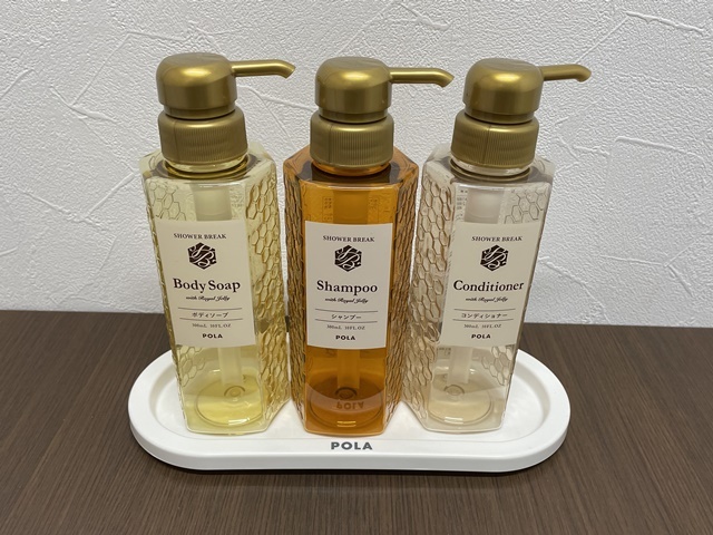 ポーラ(POLA) シャワーブレイク リンスインシャンプー10L（V417